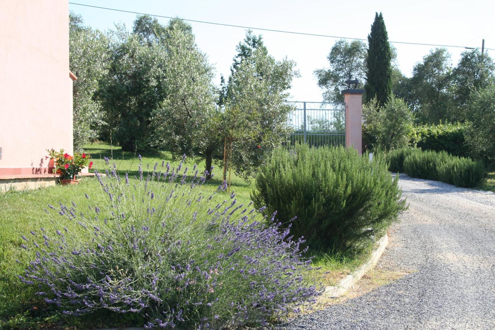 Agriturismo Gli Archi Fauglia Bagian luar foto