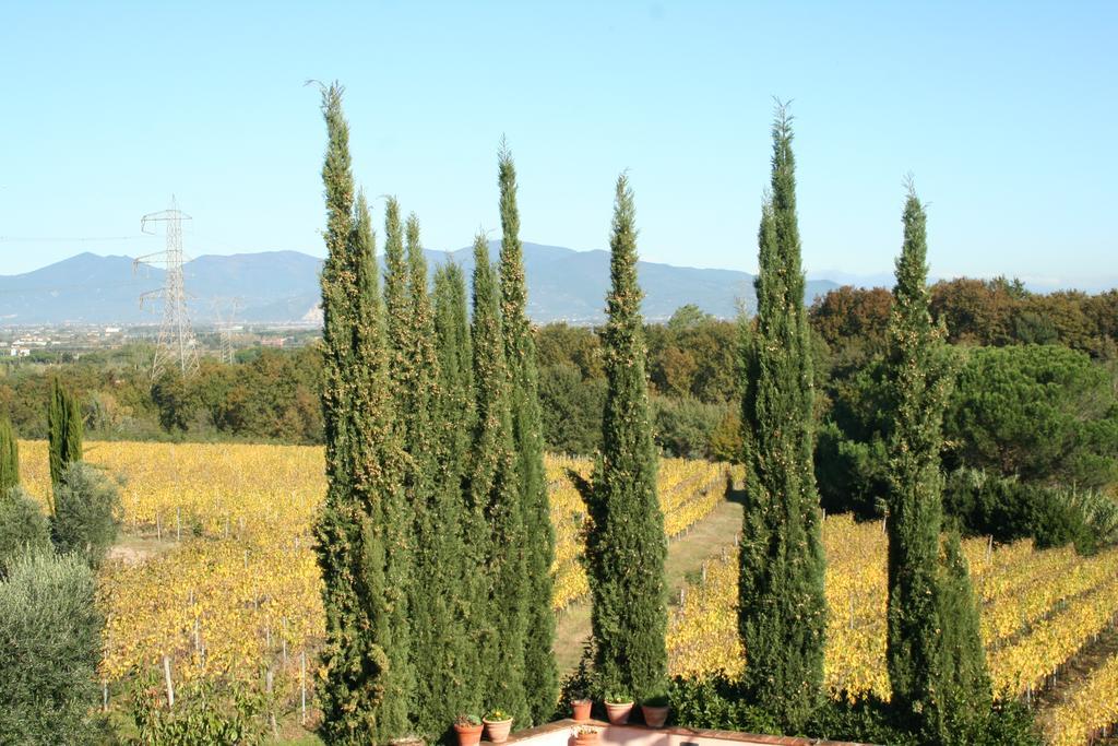 Agriturismo Gli Archi Fauglia Bagian luar foto