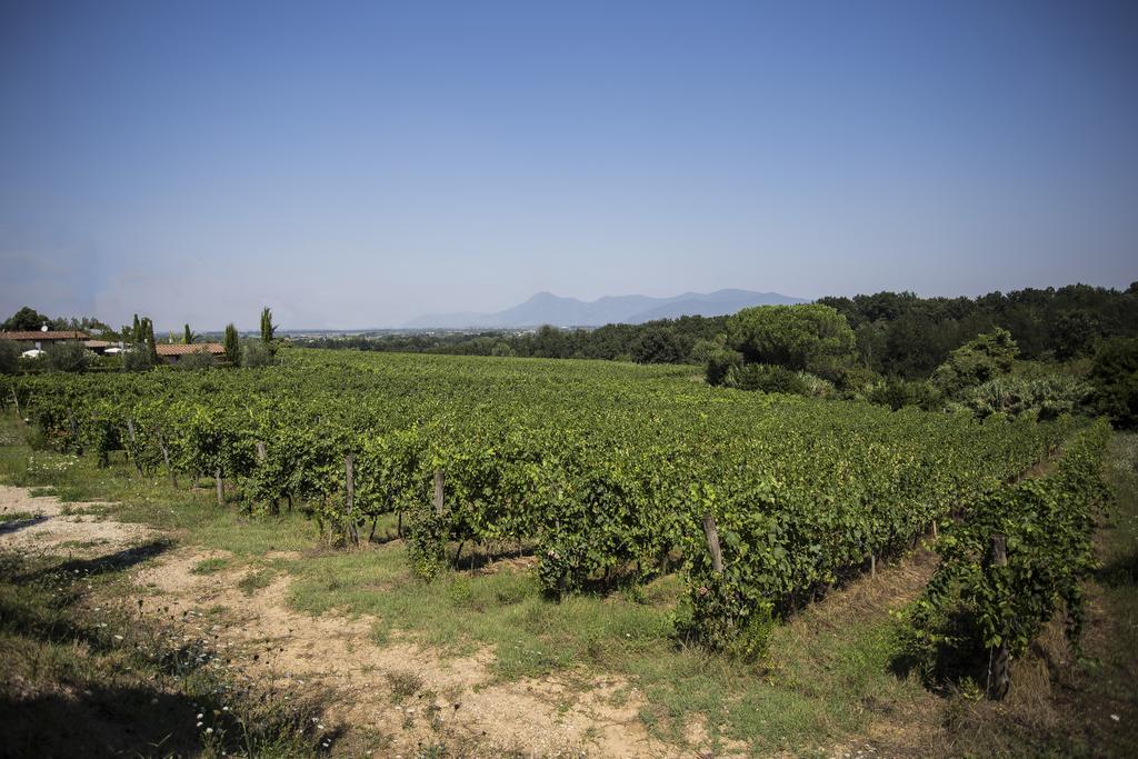 Agriturismo Gli Archi Fauglia Bagian luar foto