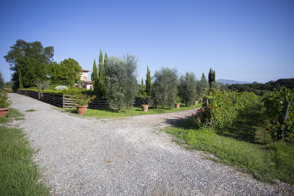 Agriturismo Gli Archi Fauglia Bagian luar foto
