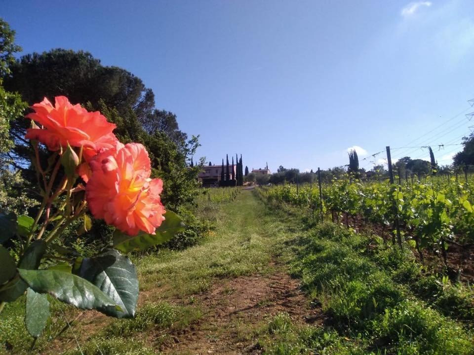 Agriturismo Gli Archi Fauglia Bagian luar foto