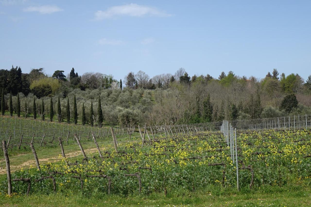 Agriturismo Gli Archi Fauglia Bagian luar foto